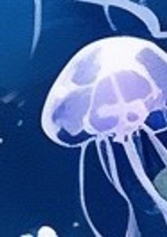 きみを奪いとるは海の月っ♪