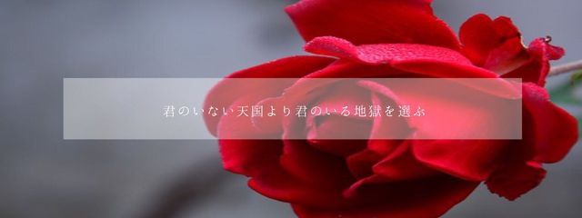 魅黒さんの壁紙画像
