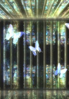 In the cage