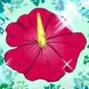 おっきなわなわ〜🌴🌺✈