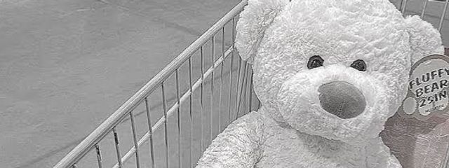 ま し ろ。さんの壁紙画像