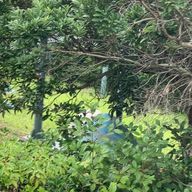 祐梨さんのアイコン画像