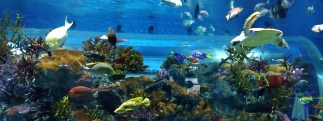 綺羅 フォロバ 4942％ ！ #陸上部所属オタクさんの壁紙画像