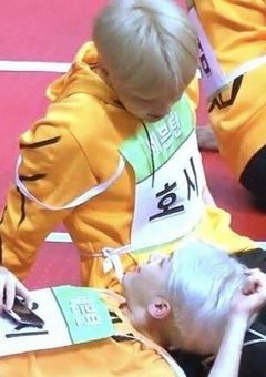 　🦢‪　SVT　_　短編集　,　