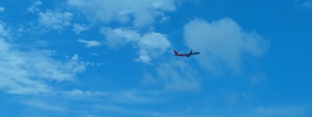 KITSUNEKOさんの壁紙画像