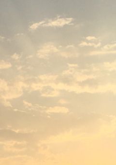 フィッシャーズ  名言集