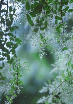 貴方の優しさと勇気で私は救われました