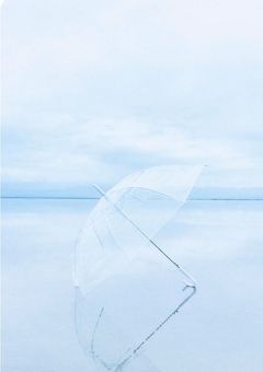 衝突し合った二人...恋愛も衝突してる？！