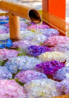 前世の記憶持ちの転校生は俺らたちの兄弟だと言い始めた