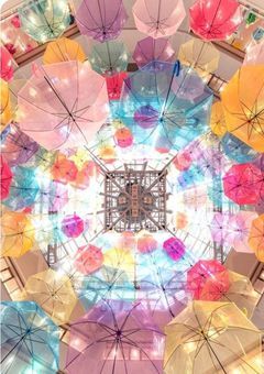 一妻多夫だけどそれでも私の夫達は愛してくれるよね...？