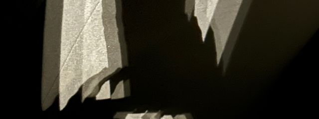 Yui catさんの壁紙画像