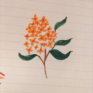 稲荷　カンナヅキさんのアイコン画像