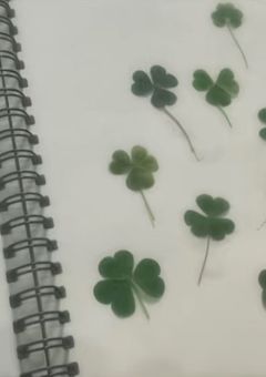 バレるの禁止！！