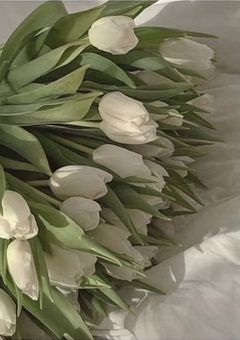 距離感バグな紅一点