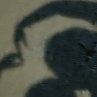 ❤︎  〜  ⁉️  さんのアイコン画像