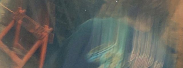 ♡_kis_ara_♡さんの壁紙画像