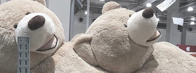 しろ🧸さんの壁紙画像