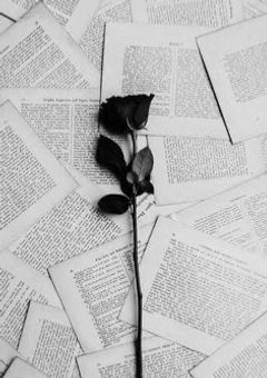 A y a T u d u  放 送 室  ．