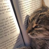 mikkusさんのアイコン画像