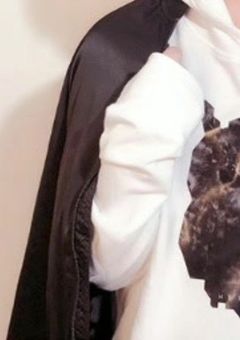 文豪ストレイドッグス