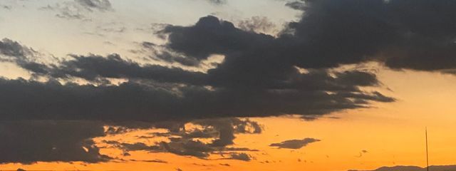 燐音さんの壁紙画像