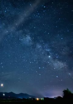 彼女は夜を舞う