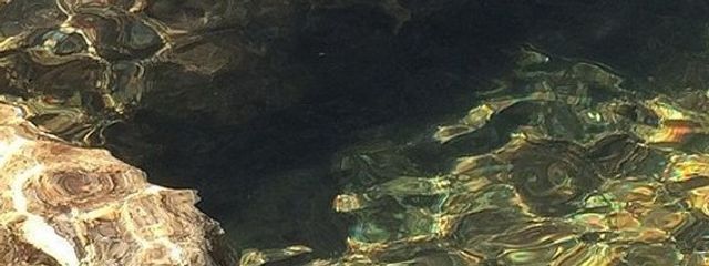 梅吉さんの壁紙画像