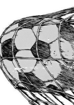 進化の証明