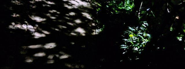 餅①。👾🍥@友達がHSP診断引っかかってて今これ。さんの壁紙画像