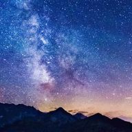 イルカさんのアイコン画像