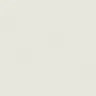 れんさんのアイコン画像