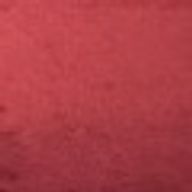 番犬@ハンターハンター好きさんのアイコン画像