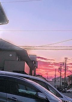 小説のネタお譲りします📣