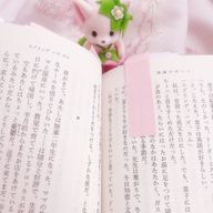 　脱落さんのアイコン画像