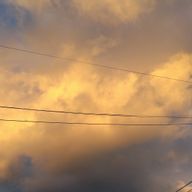 Momijiさんのアイコン画像