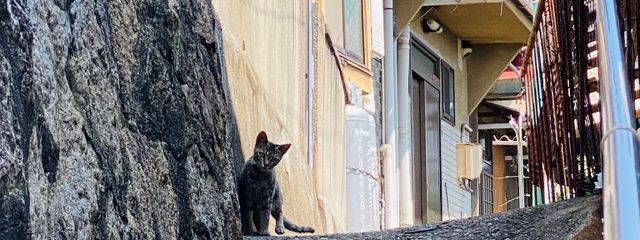 @Axa【作品全てフィクションです!!オリジナル万歳!!!さんの壁紙画像