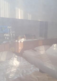 ︎ ✧﻿ ぽらりす ︎✧