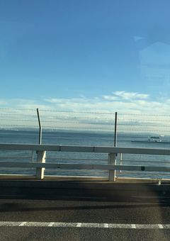 "                "が教えてくれること