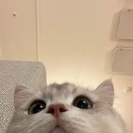 そばかす お休みさんのアイコン画像