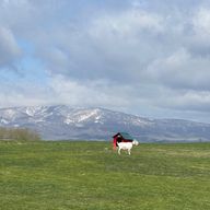 💎💎💎さんのアイコン画像