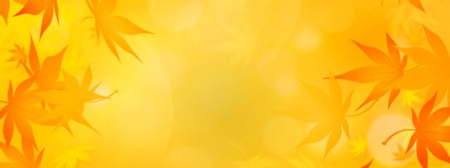 ひろきさんの壁紙画像