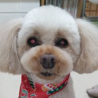 ひろきさんのアイコン画像