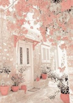 学園アイドルは妹を溺愛中