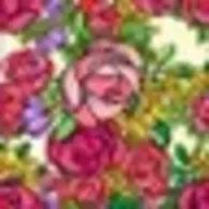 ibkさんのアイコン画像