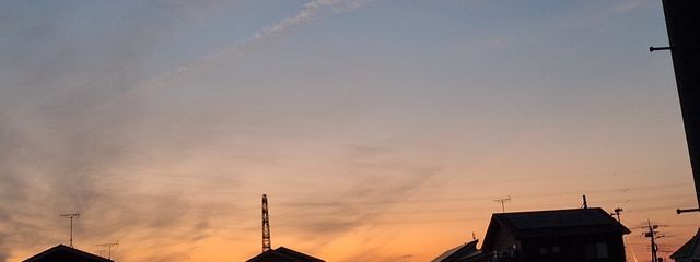 さき(早生)さんの壁紙画像