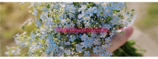 ゆっくり抹茶の理奈さん#スカーレットさんの壁紙画像