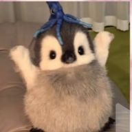 ゆいさんのアイコン画像