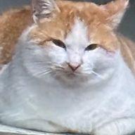 ななか*さんのアイコン画像