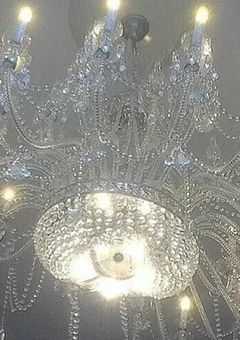 沢山の家庭教師に愛されてる