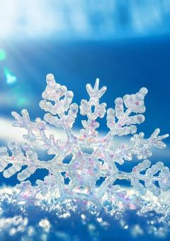 H×H ゾルディック家 長女の物語【前章】